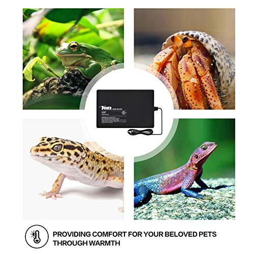 iPower Pet Supplies in 8" X 12", Black-1 Pack