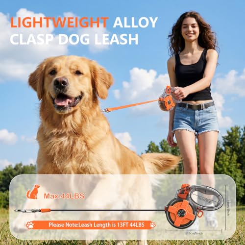 XlyCrtve Leash in 13 Feet, Orange