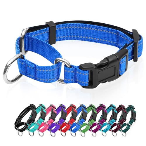 GDLKPS Animal Collar in XS:3/4" Wide for 11.5"-13.5" Neck, Blue