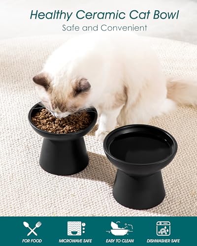 vancasso Pet Feeder in 2 Pack-Food & Water Bowls, Black