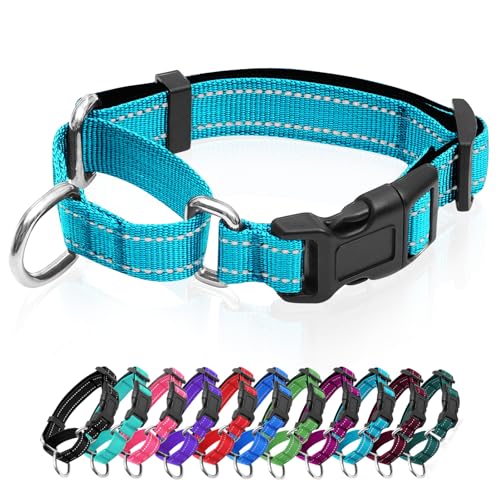 GDLKPS Animal Collar in XS:3/4" Wide for 11.5"-13.5" Neck, Azure Blue