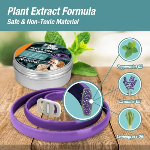 ZingZap Pet Pest Control in Grey