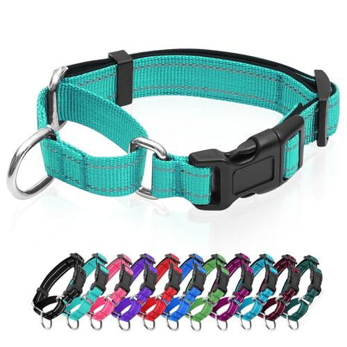 GDLKPS Animal Collar in XS:3/4" Wide for 11.5"-13.5" Neck, Green