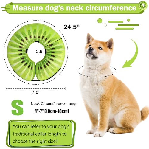 Cneo Animal Recovery Collar Cone in S（neck 4"-7"）, Kiwi