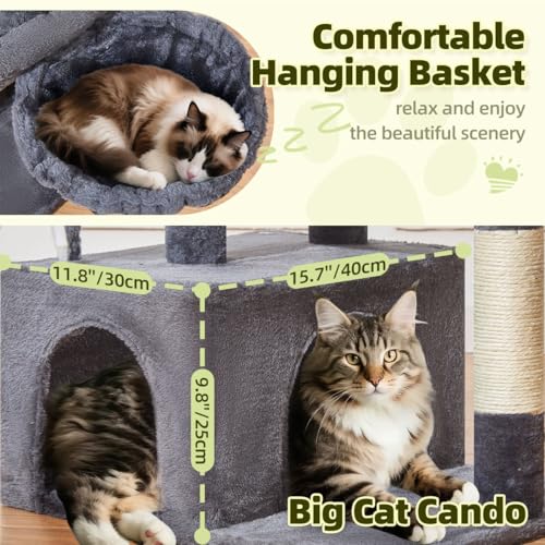Taoqimiao Pet Activity Structure in L, Smoky Gray