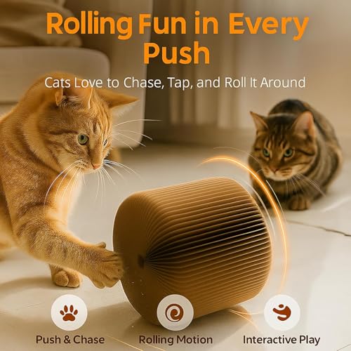 LEQOS Pet Activity Structure in 12 in, Various Colors