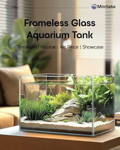 minilake Vivarium in 10 Gallon, Transparent