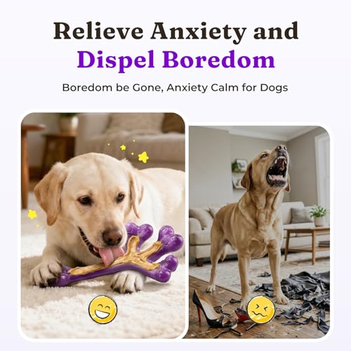 Frienhund Pet Toy in 3 Pack, Deep purple-3-Pack