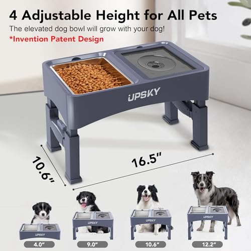 UPSKY Pet Feeder in F-3 in 1 Blue