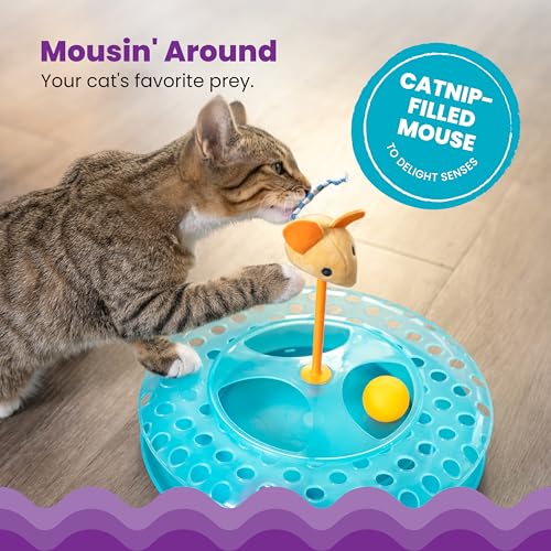 Catstages Pet Toy in One-Size, Cheese Chase