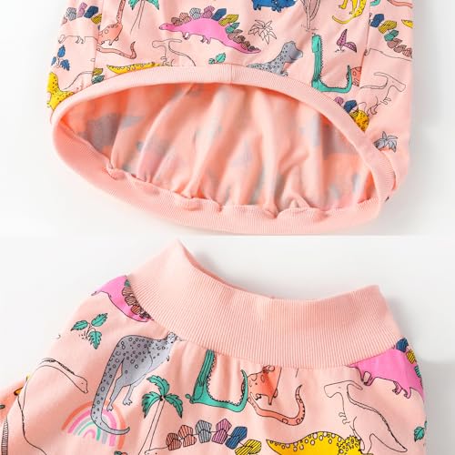 PriPre Pet Apparel in Small, .Blue Pink