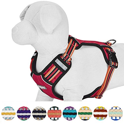 Blueberry Pet Animal Harness in Large, Blue-gray and Olive