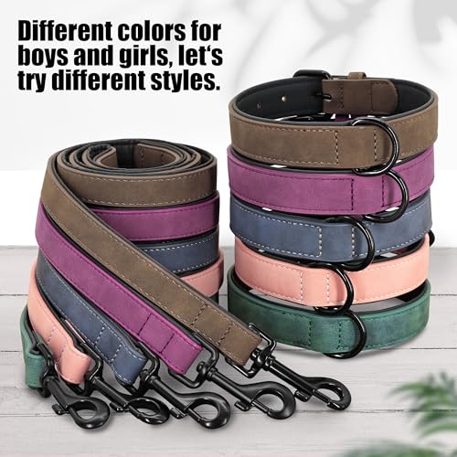 Didog Animal Collar in M: Fit Neck 11-14"(10-20 lbs), Blue Set