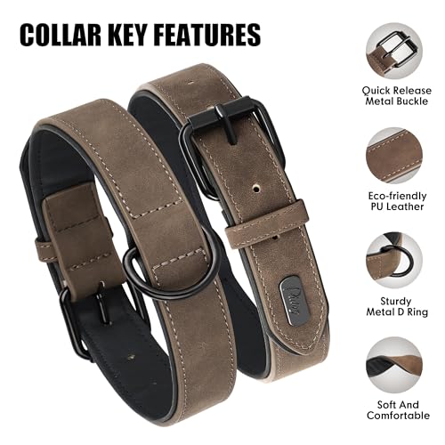 Didog Animal Collar in M: Fit Neck 11-14"(10-20 lbs), Brown