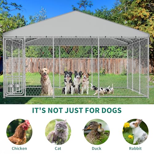 DWVO Animal Cage in 14.7 x 14.7 FT, Silver