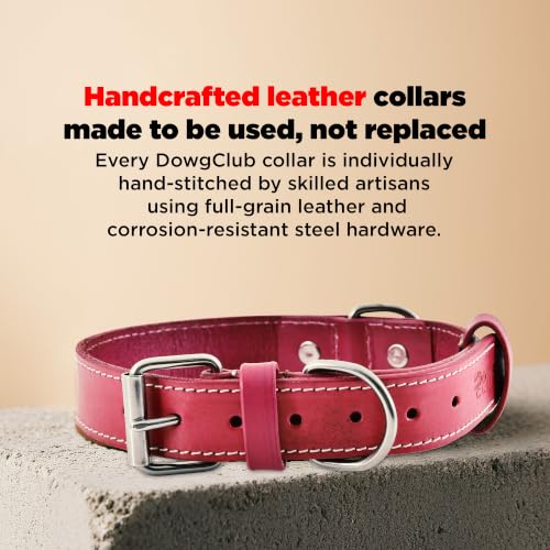 DowgClub Animal Collar in S (11"-14"), Pink