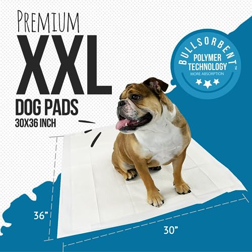 Bulldogology Pet Solutions Disposable Incontinence Surface Protector in 40-Count (30x36), White