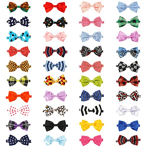 Segarty Pet Apparel in Medium, 40pcs-Various