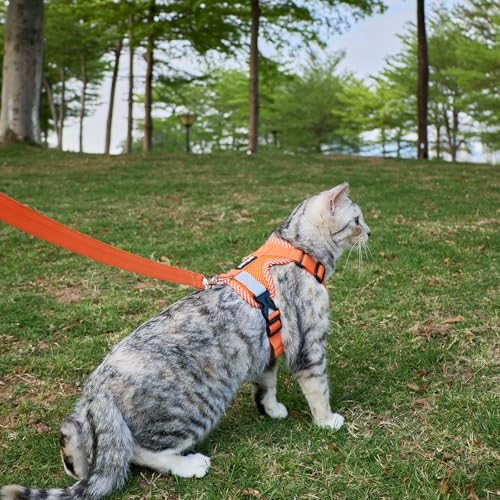 pangdi Pet Supplies in XX-Large, Orange