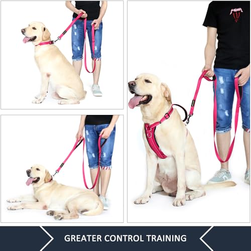 PLUTUS PET Leash in 6 FT, Pink