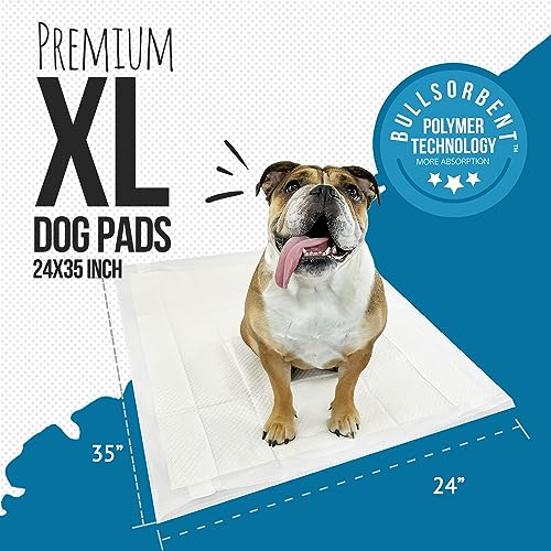 Bulldogology Pet Solutions Disposable Incontinence Surface Protector in 30-Count (30x30), White