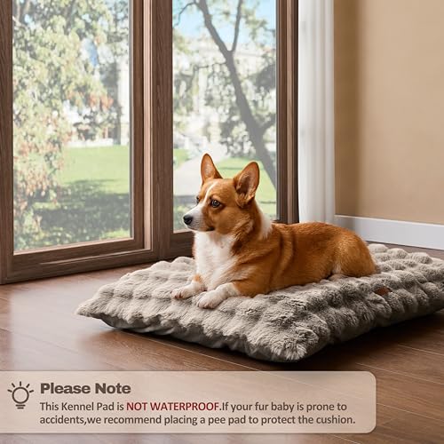 WDCOZY Pet Bed Mat in Medium（29"x21"), Fluffy-Beige
