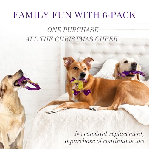 Frienhund Pet Toy in 6 Pack, Purple-6-Pack
