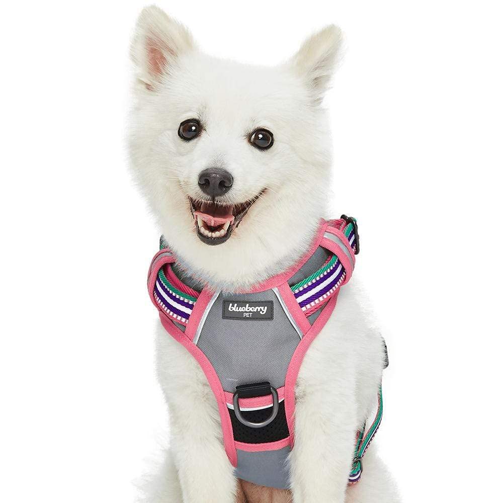 Blueberry Pet Animal Harness in Small, Pink, Emerald and Orchid