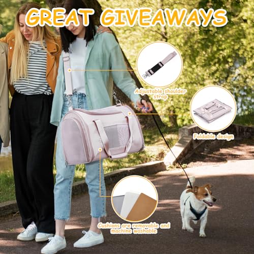 WEPLAN Animal Carrier in 18.1"L x 11.8"W x 12.9"H, Pink