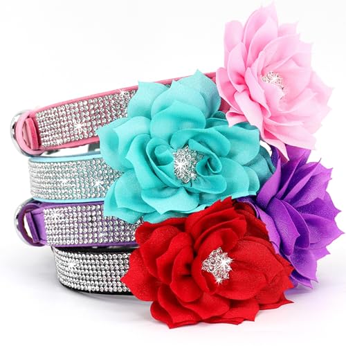 PET ARTIST Animal Collar in XS:Neck 7.5-10"(3-7 lbs), Black