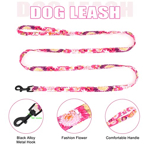 Beirui Animal Harness in XXS:Fit 2-6 lbs, Pink-2