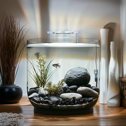 HappyFiller Outdoor Living in 1-3 cm, Black