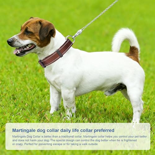GDLKPS Animal Collar in XS:3/4" Wide for 11.5"-13.5" Neck, Coffee