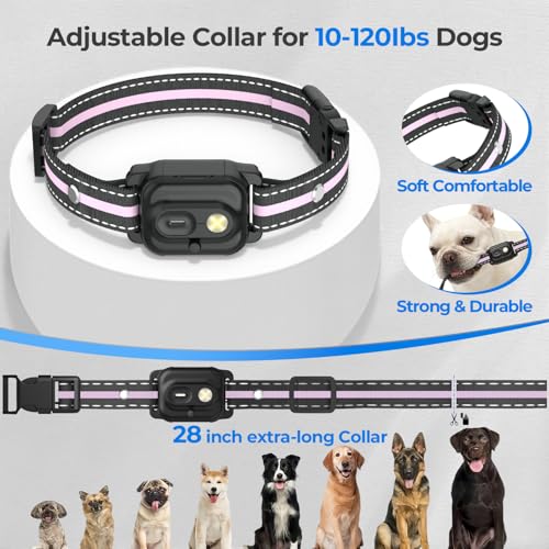 RPZ Animal Collar in 1 Receiver, Pink
