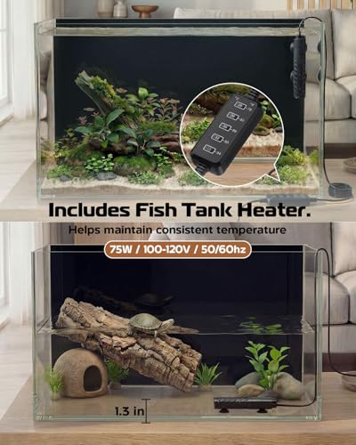 minilake Vivarium in 10 Gallon, Black