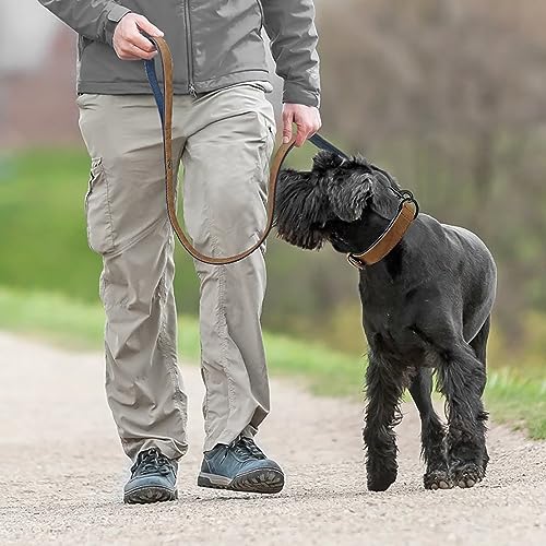 Didog Animal Collar in L: Fit Neck 14-18"(22-44 lbs), Brown Set