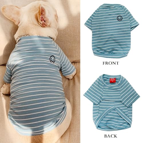 Wiz BBQT Pet Apparel in Pet XL - Chest 19.7", Blue