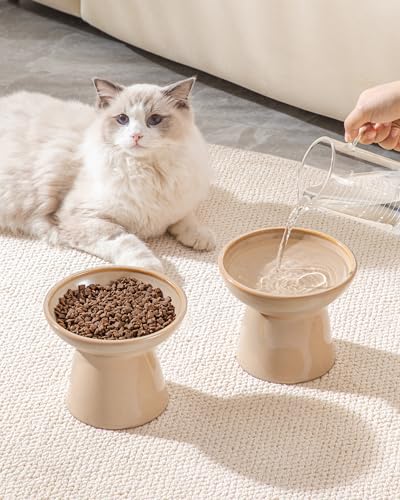 vancasso Pet Feeder in 2 Pack-Food & Water Bowls, Brown
