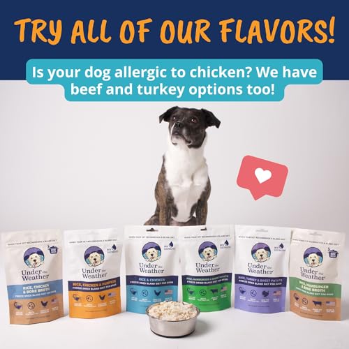 Under the Weather Pet Food in 6 Ounce (Pack of 1)