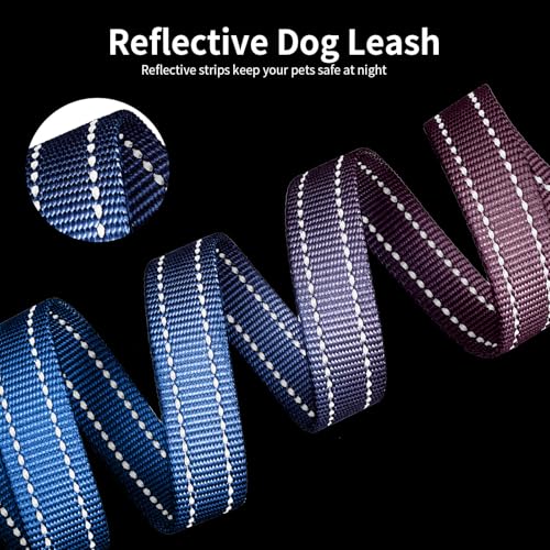 kazazoo Leash in Adjustable (5.5ft to 8.5ft), Gradient Purple