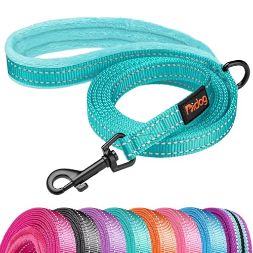 Didog Leash in 5/8''x 6 FT, Teal