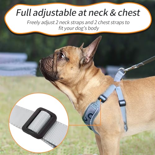 SAEGYPET Animal Harness in XS, Gray-2
