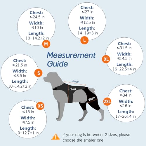 Marnonsis Pet Supplies in XL, Black