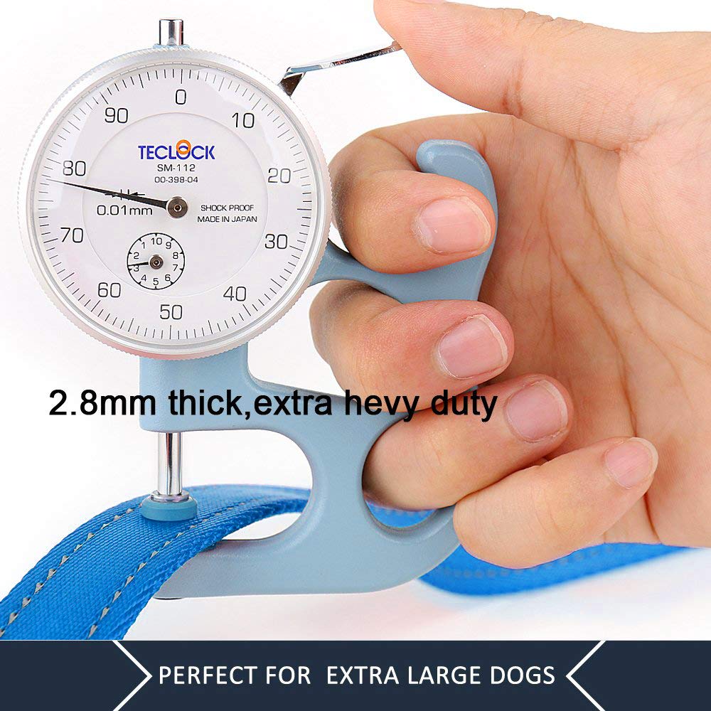 PLUTUS PET Leash in 5 FT, Blue
