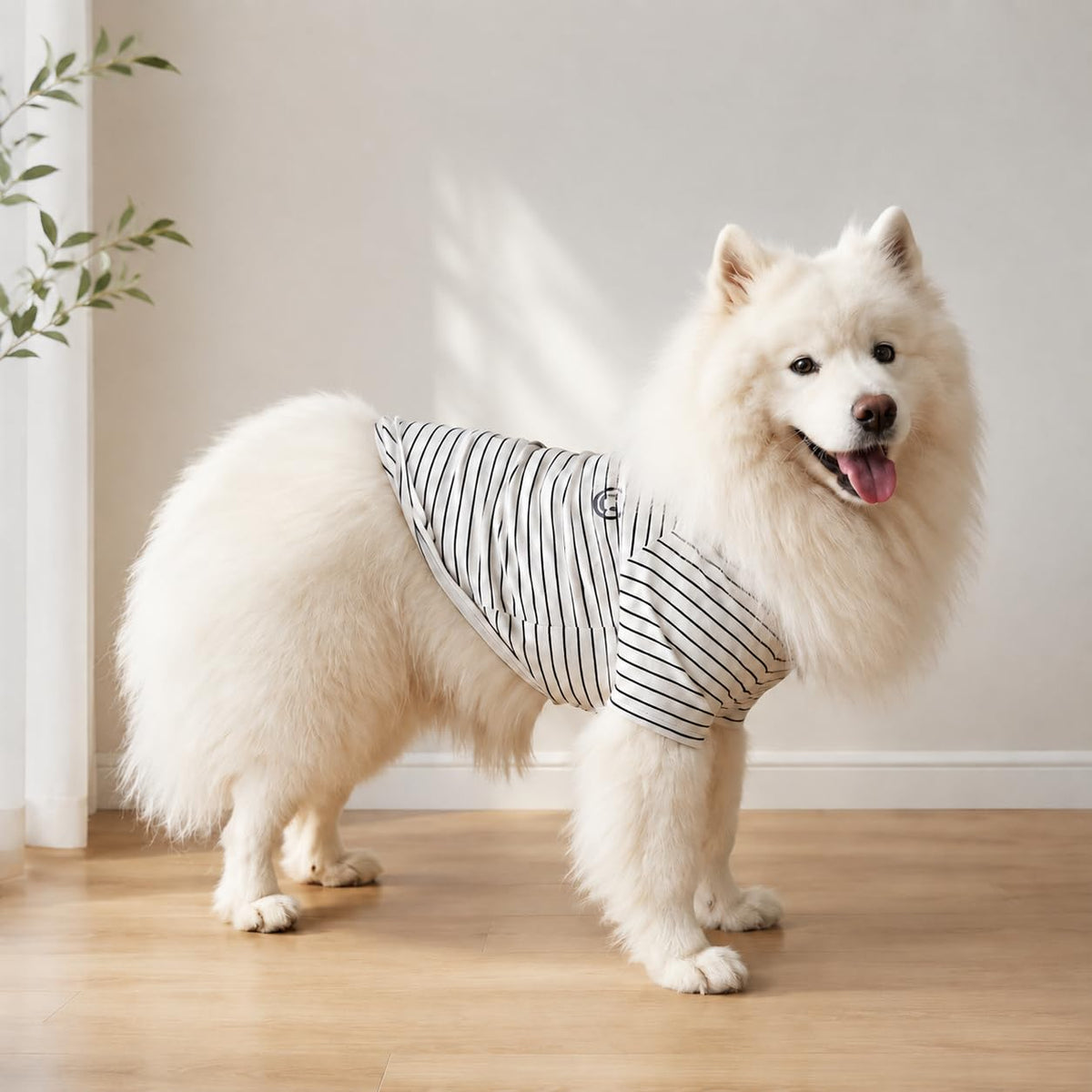 Wiz BBQT Pet Apparel in Pet 5XL - Chest 27.2", White
