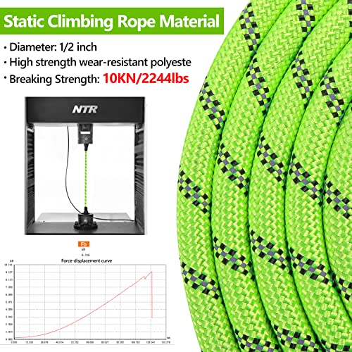 NTR Leash in 6ft*1/2", Green