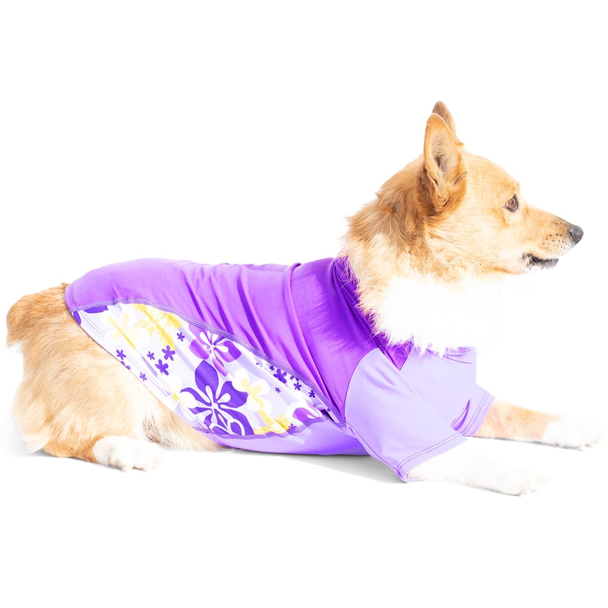 PlayaPup Pet Apparel in XX-Small, Purple Wave
