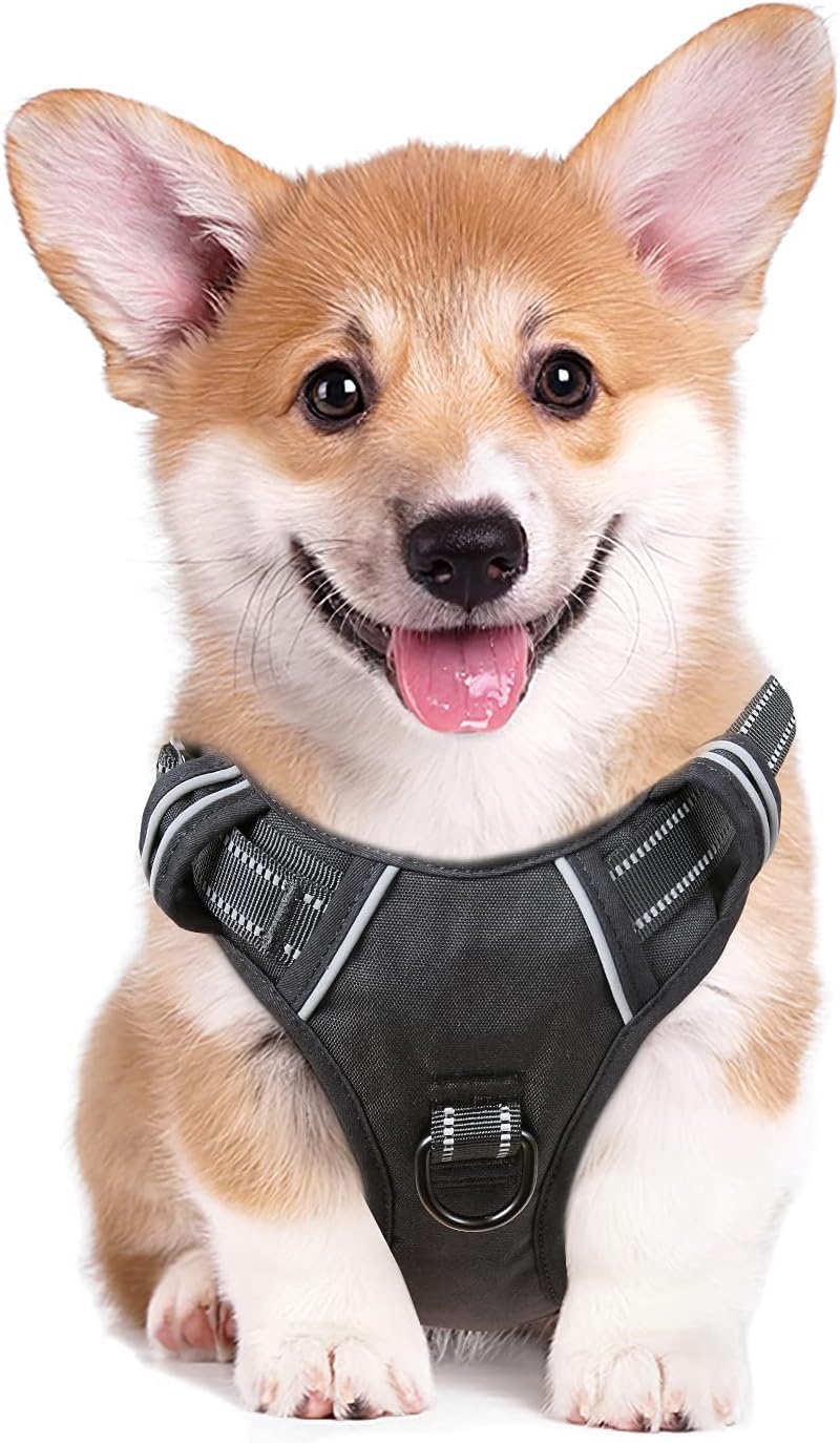 HEELE Animal Harness in XS, Black