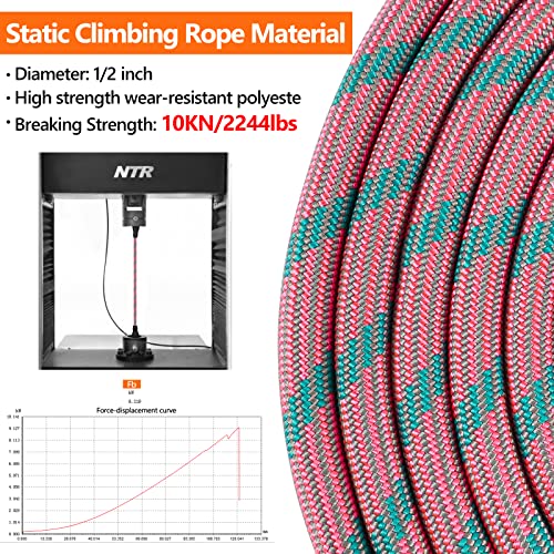 NTR Leash in 15ft*3/8", Pink Blue
