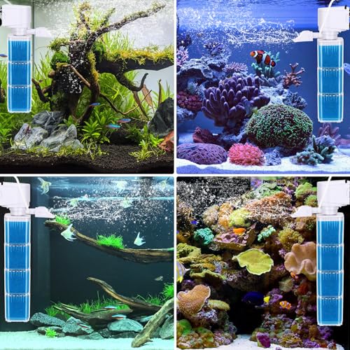 fishkeeper Pet Supplies in Replacement Sponge 3PCS, Blue